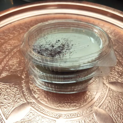 علبة طرطور